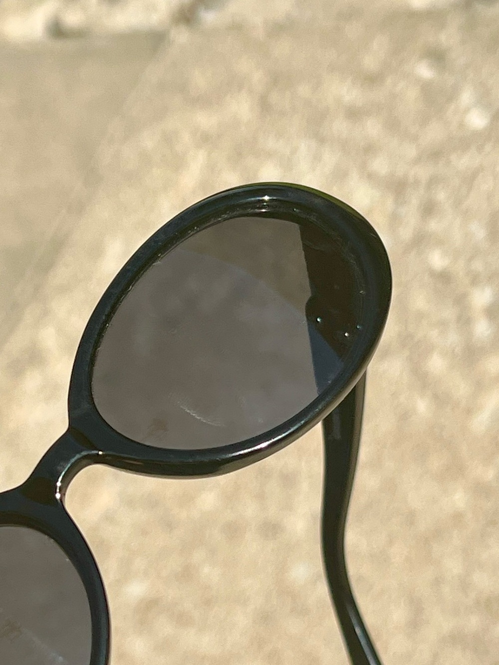 Brighton Casanova Sunglasseses - Picture 16 of 17